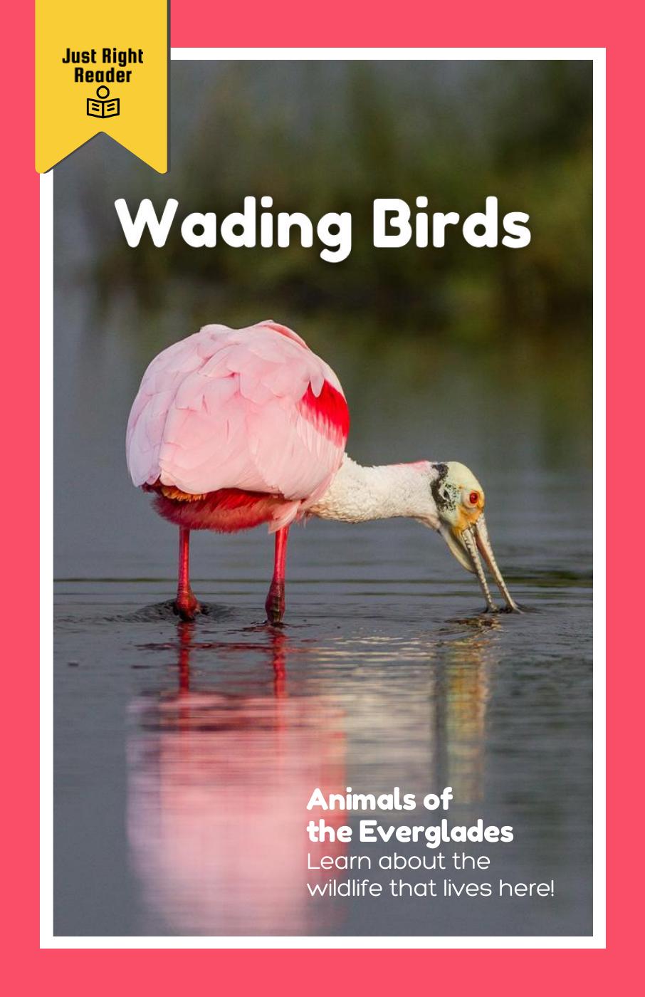 Book cover with an image of a wading bird